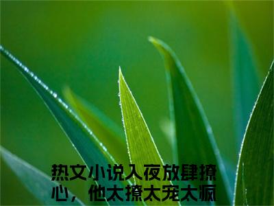 入夜放肆撩心，他太撩太宠太疯叶雯雯小说完整版阅读 入夜放肆撩心，他太撩太宠太疯叶雯雯全文在线赏析