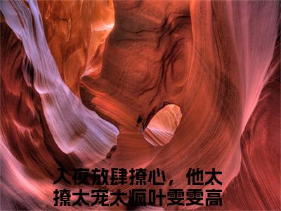 入夜放肆撩心，他太撩太宠太疯叶雯雯(入夜放肆撩心，他太撩太宠太疯叶雯雯)全文免费阅读无弹窗大结局-入夜放肆撩心，他太撩太宠太疯叶雯雯求书热文免费阅读