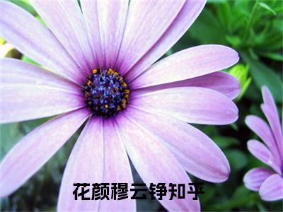 花颜穆云铮小说（花颜穆云铮）全文免费阅读无弹窗大结局_花颜穆云铮小说最新章节列表_笔趣阁（花颜穆云铮）