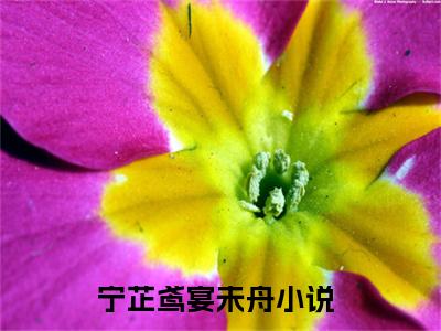 宁芷鸢宴未舟是哪部小说的主角-《宁芷鸢宴未舟》全文无弹窗完整版阅读