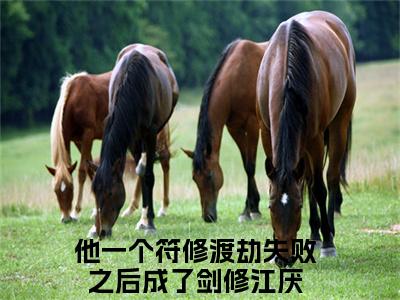 他一个符修渡劫失败之后成了剑修江厌分享一本言情小说 他一个符修渡劫失败之后成了剑修江厌免费章节试读