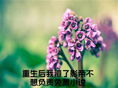 重生后我渣了影帝不想负责（萧轶夏微凉）全文免费阅读无弹窗大结局_重生后我渣了影帝不想负责全文免费阅读无弹窗最新章节列表