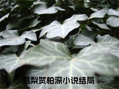 温梨贺柏深小说完整版阅读 温梨贺柏深呈全文在线赏析