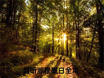 盛听澜崔墨白（盛听澜崔墨白小说全文）在线阅读-盛听澜崔墨白全文免费阅读无弹窗大结局