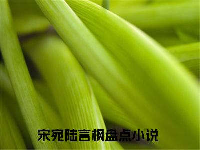 宋宛陆言枫（宋宛陆言枫）小说全文免费阅读-宋宛陆言枫在线阅读的小说完整版