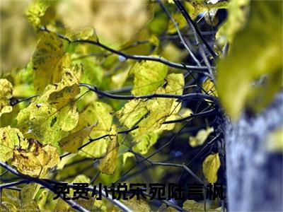 宋宛陆言枫(宋宛陆言枫)小说最新章节免费阅读_ 宋宛陆言枫免费阅读无弹窗最新章节列表_笔趣阁