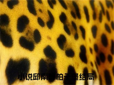 邱南静柏子墨（邱南静柏子墨）全文免费阅读无弹窗大结局-邱南静柏子墨免费阅读全文大结局-笔趣阁