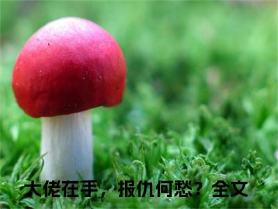 慕寒御时念（大佬在手，报仇何愁？）全文免费阅读无弹窗_大佬在手，报仇何愁？最新小说_笔趣阁