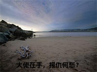 慕寒御时念（大佬在手，报仇何愁？全文免费大结局）在线阅读-大佬在手，报仇何愁？全文无删减免费赏析