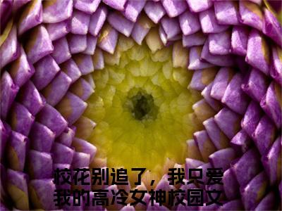 王禾小说（校花别追了，我只爱我的高冷女神）全文免费阅读大结局_（王禾）校花别追了，我只爱我的高冷女神小说免费阅读无弹窗