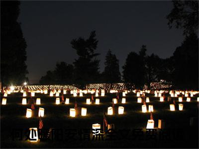 何处暖阳安情深（秦暖意陆屿桀）小说全文免费阅读-何处暖阳安情深（秦暖意陆屿桀）小说免费版最新更新阅读