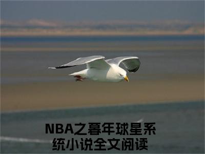 NBA之暮年球星系统小说在线阅读（苏天）全文免费阅读无弹窗大结局