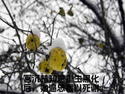 宫沉林知意（重生黑化后，她逼总裁以死谢罪）全文免费阅读无弹窗大结局_（重生黑化后，她逼总裁以死谢罪）小说免费阅读最新章节列表