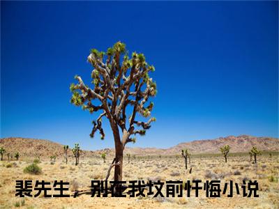 裴先生，别在我坟前忏悔全文免费阅读无弹窗_（江夏裴谞）全文在线阅读大结局