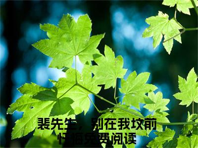 裴先生，别在我坟前忏悔全文（江夏裴谞）全文免费阅读无弹窗大结局_（江夏裴谞）裴先生，别在我坟前忏悔最新章节列表