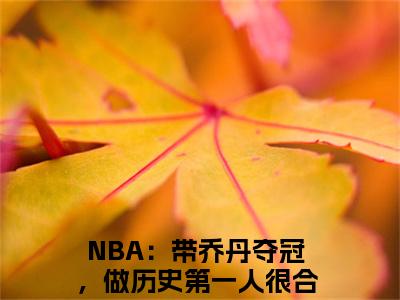 林嘉豪全文免费阅读大结局-NBA：带乔丹夺冠，做历史第一人很合理吧结局免费阅读