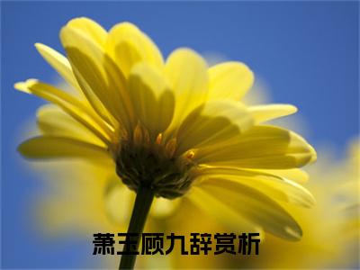 萧玉顾九辞全本资源免费阅读结局无删节主角：萧玉顾九辞小说全文阅读无弹窗