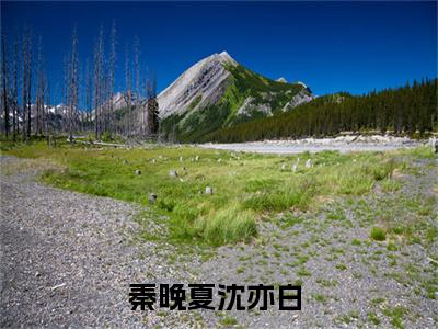 主人公叫（秦晚夏沈亦白）的小说-秦晚夏沈亦白免费阅读最新章节列表_笔趣阁