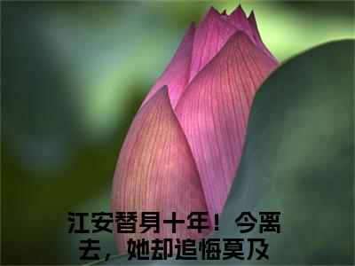 江安（替身十年！今离去，她却追悔莫及）全文免费阅读无弹窗大结局_替身十年！今离去，她却追悔莫及无弹窗最新章节列表_笔趣阁