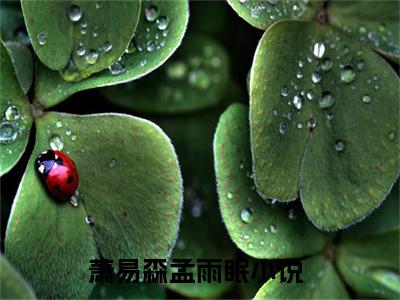 主角是萧易森孟雨眠的小说叫什么名字-萧易森孟雨眠小说全文免费阅读