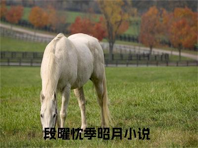 段曜忱季昭月（段曜忱季昭月）最新章节阅读-（段曜忱季昭月）免费阅读大结局无弹窗