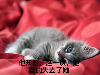 李承泽苏锦绣在线阅读（他知道，这一次，他真的失去了她）全文无弹窗大结局_他知道，这一次，他真的失去了她全文在线阅读无弹窗