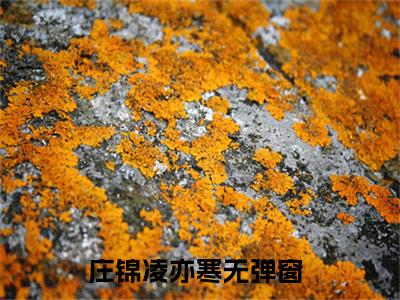 庄锦凌亦寒（空间太厉害，太子替我种田求入赘最新全章节大结局）全文阅读-庄锦凌亦寒空间太厉害，太子替我种田求入赘在线小说免费阅读