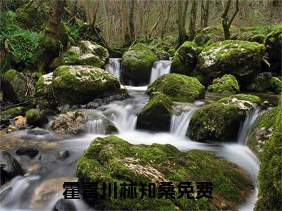 小说（霍青川林知桑）最新章节免费阅读-（霍青川林知桑）小说全文无删减版