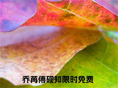 乔苒傅砚知小说免费在线阅读无弹窗-主角是乔苒傅砚知的小说