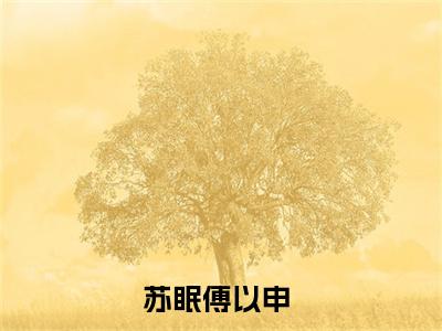 苏眠傅以申(苏眠傅以申)全文免费阅读无弹窗大结局-苏眠傅以申全文无弹窗免费阅读