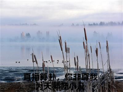 直播算卦，你非尊我为天师（杨小凡）全文免费阅读_（直播算卦，你非尊我为天师）杨小凡最新章节小说免费阅读_笔趣阁