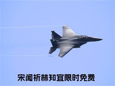 宋闻祈林知宜(宋闻祈林知宜）全文免费阅读无弹窗大结局_ 宋闻祈林知宜最新章节完整版阅读