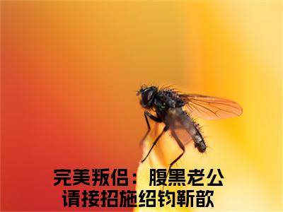 施绍钧靳歆完美叛侣：腹黑老公请接招完整全文在线阅读施绍钧靳歆全文大结局阅读无弹窗