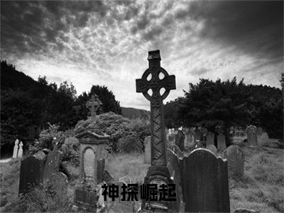 罗迪（神探崛起）全文免费阅读无弹窗_（神探崛起小说全文免费阅读）罗迪最新章节列表笔趣阁