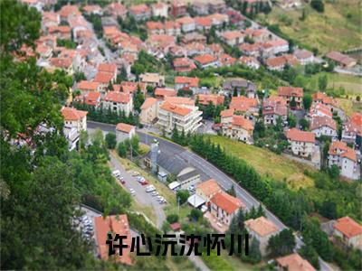 许心沅沈怀川小说主角叫什么 许心沅沈怀川全文免费阅读大结局