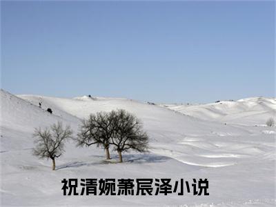 祝清婉萧宸泽（祝清婉萧宸泽）全文免费阅读无弹窗大结局_(祝清婉萧宸泽小说免费阅读)_笔趣阁