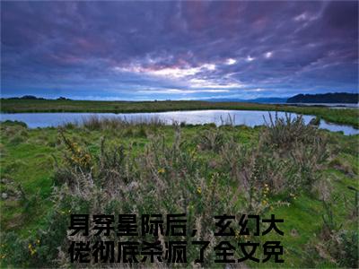 纪孤岚在线阅读（身穿星际后，玄幻大佬彻底杀疯了）全文免费阅读大结局_纪孤岚免费最新章节列表_笔趣阁