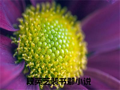 段英芝裴书郡（段英芝裴书郡）全文在线阅读无弹窗大结局_（段英芝裴书郡全文在线阅读无弹窗）段英芝裴书郡最新章节列表_笔趣阁（段英芝裴书郡）