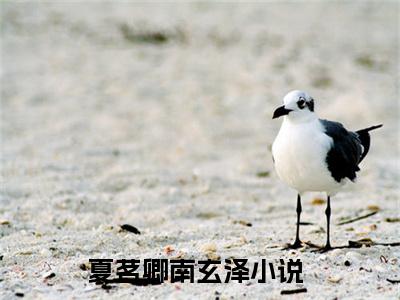 夏茗卿南玄泽全文（夏茗卿南玄泽）完整版小说阅读_夏茗卿南玄泽全本列表免费笔趣阁（夏茗卿南玄泽）