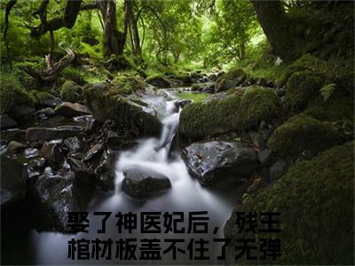 娶了神医妃后，残王棺材板盖不住了小说最新章节在线阅读_娶了神医妃后，残王棺材板盖不住了在线阅读