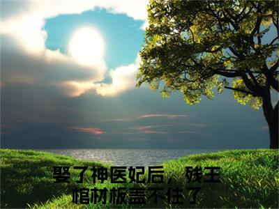 洛倾城萧之珩（娶了神医妃后，残王棺材板盖不住了）全文免费阅读无弹窗大结局_（洛倾城萧之珩全文免费阅读无弹窗）最新章节列表