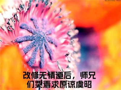 改修无情道后，师兄们哭着求原谅小说最新试读_虞昭是（改修无情道后，师兄们哭着求原谅全文完整版免费阅读）_笔趣阁