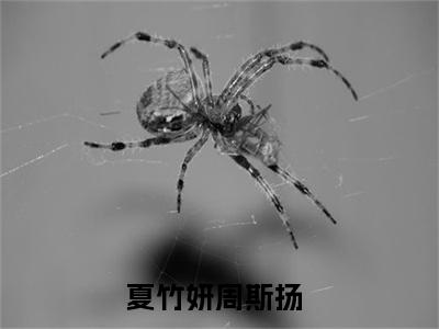 夏竹妍周斯扬（夏竹妍周斯扬小说）全文免费阅读无弹窗大结局_夏竹妍周斯扬最新章节列表笔趣阁