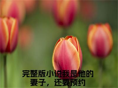 我是他的妻子，还要预约全文免费（宋向暖霍京隽）全文免费阅读无弹窗大结局_（宋向暖霍京隽全文免费我是他的妻子，还要预约）