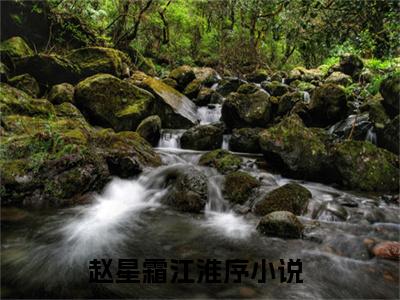 赵星霜江淮序（赵星霜江淮序）大结局免费小说无弹窗-赵星霜江淮序完整版阅读-笔趣阁