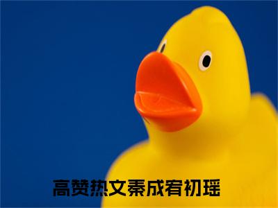 秦成宥初瑶（秦成宥初瑶）全文免费阅读无弹窗大结局_（秦成宥初瑶）秦成宥初瑶全文最新章节列表_笔趣阁（秦成宥初瑶）