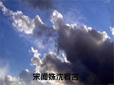 宋闻姝沈宥言小说（宋闻姝沈宥言）全文免费阅读无弹窗大结局_宋闻姝沈宥言小说最新章节列表