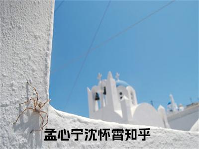 孟心宁沈怀霄（孟心宁沈怀霄）全文免费阅读无弹窗大结局_孟心宁沈怀霄小说全文免费阅读最新章节列表_笔趣阁（孟心宁沈怀霄）