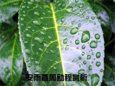 百分爆评热文安雨嘉周励程_安雨嘉周励程小说无弹窗在线阅读