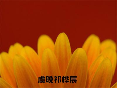 虞晚祁桦宸全文小说-虞晚祁桦宸小说最新章节免费阅读